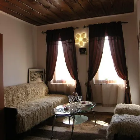 Pensionat Palitsi Art House Elena