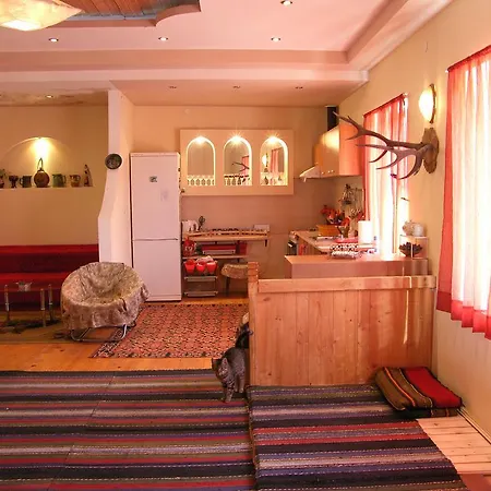 Pensionat Palitsi Art House Elena