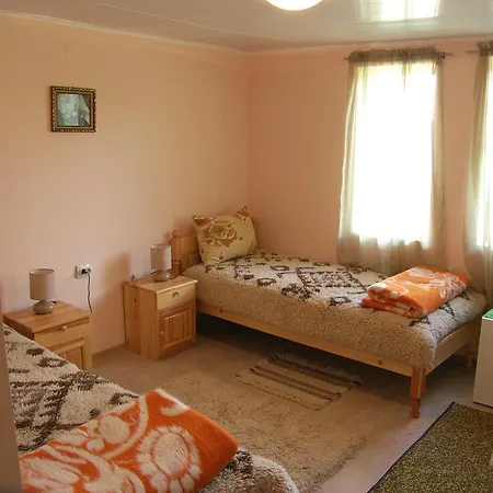 Palitsi Art House ايلينا