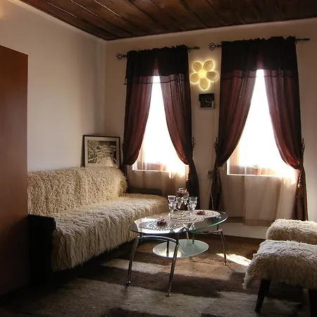 Pensionat Palitsi Art House