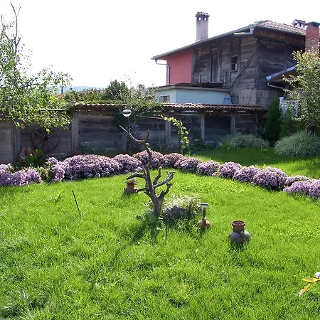Pensionat Palitsi Art House Elena