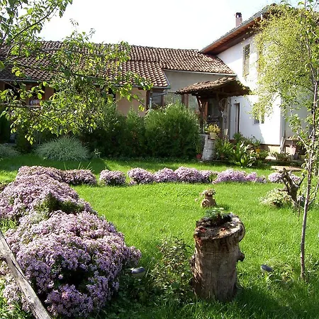 Pensionat Palitsi Art House *