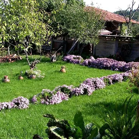 Palitsi Art House