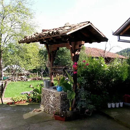 Pensionat Palitsi Art House *