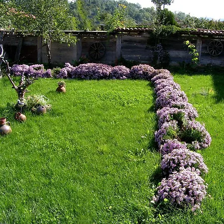 Palitsi Art House Elena