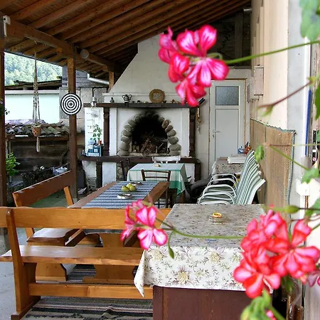 Pensionat Palitsi Art House