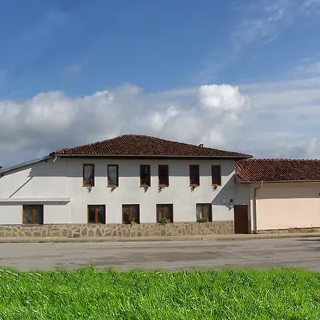 Pensionat Palitsi Art House Elena