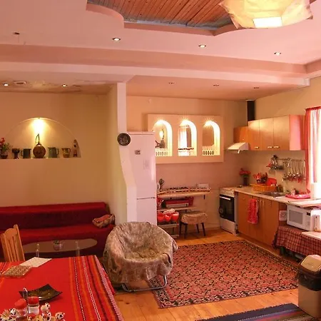 Pensionat Palitsi Art House