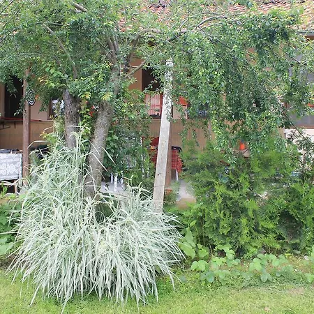 Pensionat Palitsi Art House *
