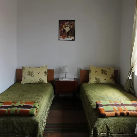Pensionat Palitsi Art House *