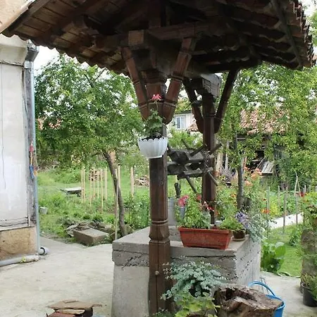 Palitsi Art House