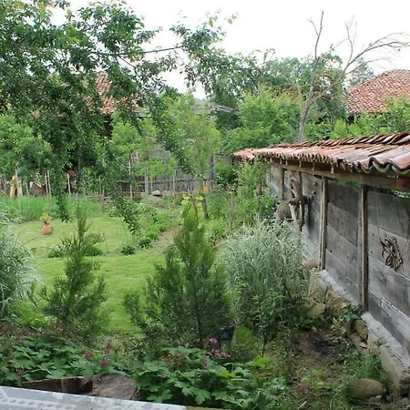 Pensionat Palitsi Art House Elena