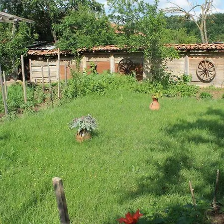 بيت ضيافة Palitsi Art House *