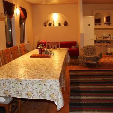 Pensionat Palitsi Art House Elena