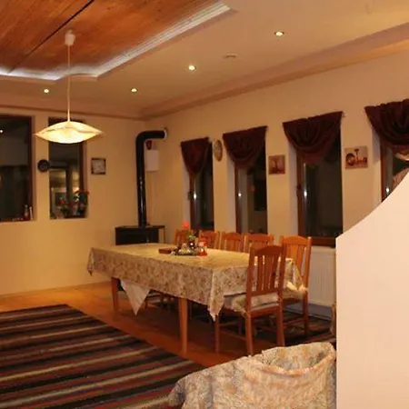 Pensionat Palitsi Art House *