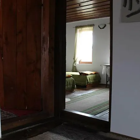 Pensionat Palitsi Art House Elena