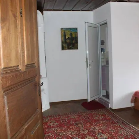Pensionat Palitsi Art House Elena
