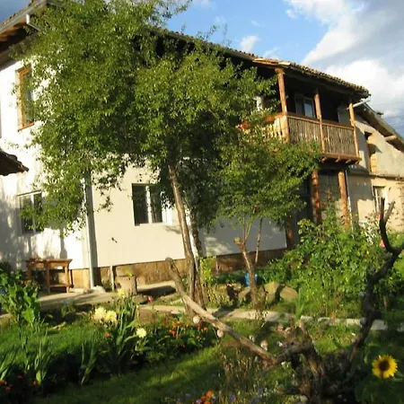 Pensionat Palitsi Art House