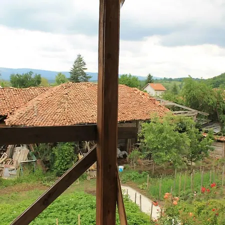 Pensionat Palitsi Art House