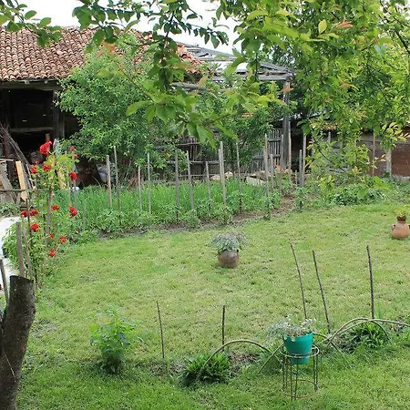Pensionat Palitsi Art House Elena
